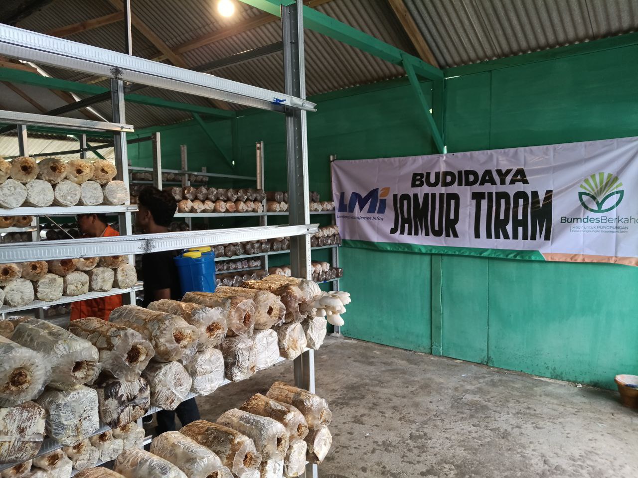 Woman holding donation box