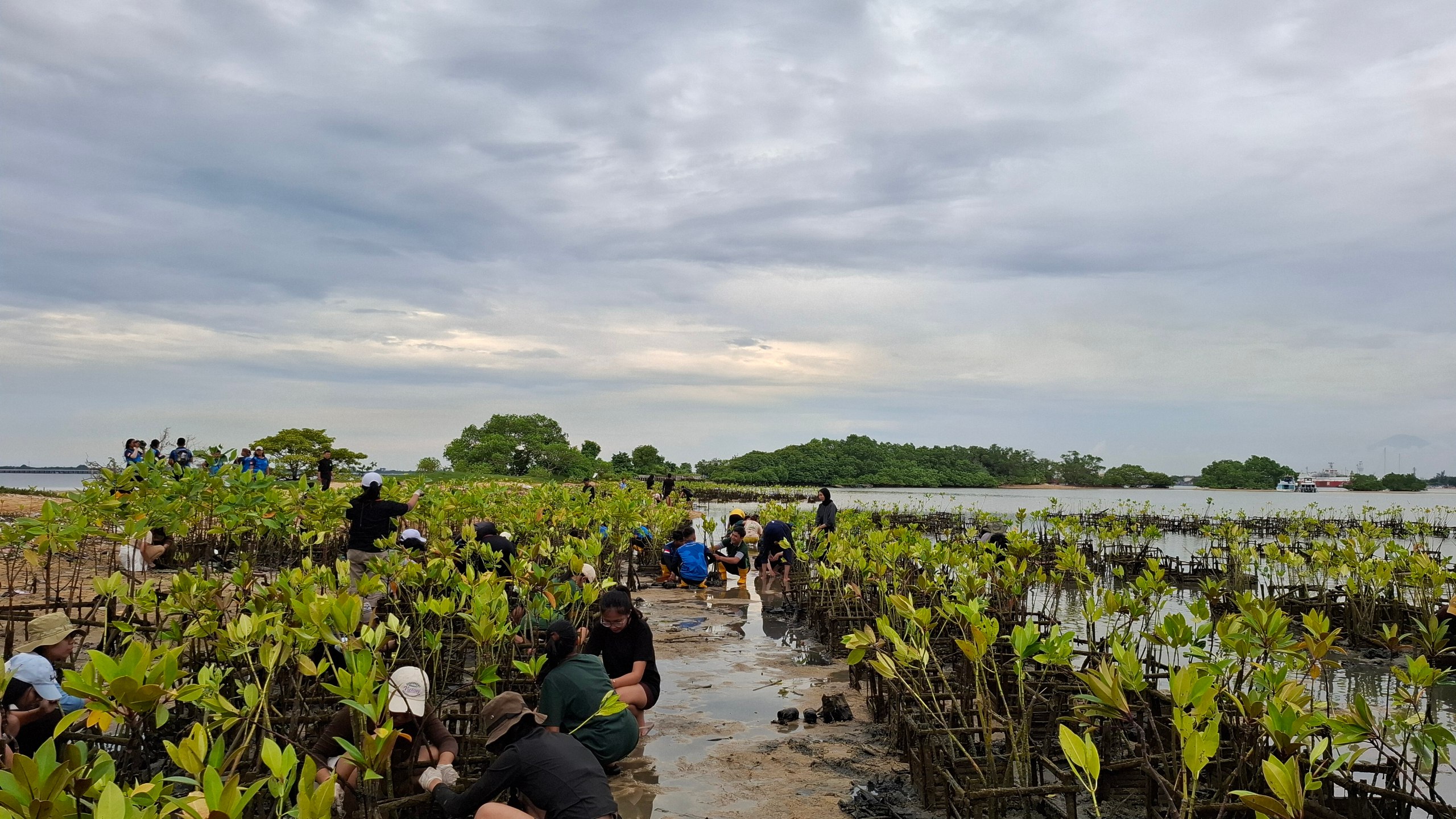Woman holding donation box